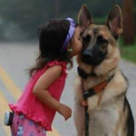 ��� �������� ������� ����� ������