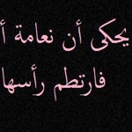  ���� ���� ����� ���� ���� ����� ���