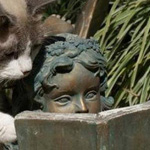 ���� ���� �� �����