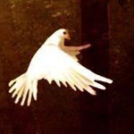 ����� ����� �� ...