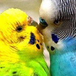 ���� ���� ��� ���� ��� ����