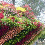 ���� ����� ��� �� ������ ���� �����