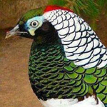 ���� �� ������� �� ���� ��