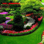 ��� �� �����