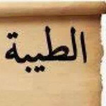 ������ ���� ����� ��������