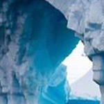 ���� ������� ������ �� ������ ������� ��������