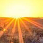 ���� ������ ������ǡ �������� ������� ���������