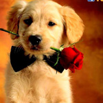 �� �����!