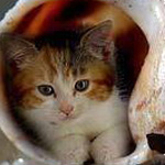 �� �� ������ ��� �� ��� ���� ���