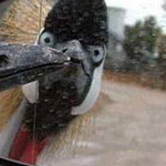 ��� ���� !!!