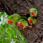 �� ���� �� �������