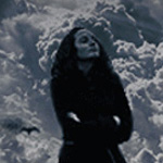 ���� ���� ���� ������