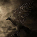 ���� ���� ��� ������