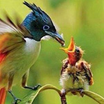 ��� ���� ���� ����� ������