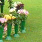 ����� ��� �� ������ ���� �����