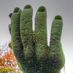 ���� ���� �����