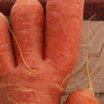 ���� ��� ��� ��