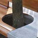 �� ���� � ������� ��� ������� ������� �����