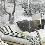 ����� ����� �� �������