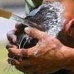 ����� ����� ����