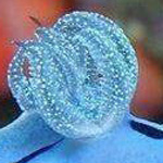 ���� �����