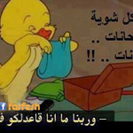 �������� .. ��������