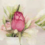 ��� �����