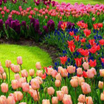 ���� ���� �����