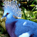 ������ ��� ����� ������