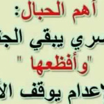 ��� ������ :