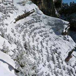 �� ���� ����� ���� ����� ��