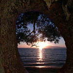 ���� ���� ����� ������ �� �����