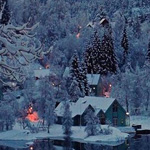 ���� ������ �� ��� ������� �������