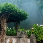 ������� ������� �����ǡ ��������