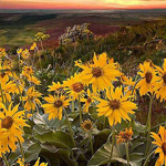 ���� ������ �� �� ����