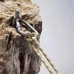 ���� ����� ������� 