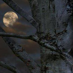 ���� ����� ����� �� ��� ����� ��� ������ ������