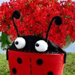 ����� ����� ������ ������