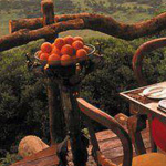 ���� ����� ����� ����