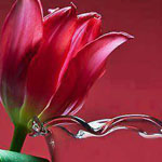 �� ����� �����