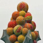 ����� ������� ������ɡ �������