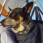 ���� �� ����� �����