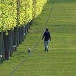 ������� �� �����