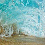 ���� ����� ����� �� ������