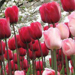 �� ���� ������