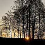 ��� ������� 