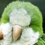 �� ������� :-)