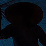 �������� �����������