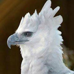 ����� �������� ������ ��� ���� ����� ������ �������