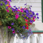 ����� ������ �� �� ����